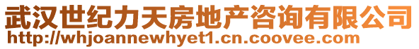 武汉世纪力天房地产咨询有限公司