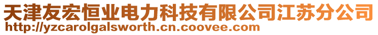 天津友宏恒業電力科技有限公司江蘇分公司