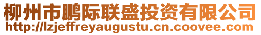 柳州市鵬際聯(lián)盛投資有限公司