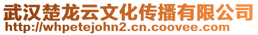 武漢楚龍云文化傳播有限公司