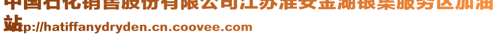 中國(guó)石化銷售股份有限公司江蘇淮安金湖銀集服務(wù)區(qū)加油
站