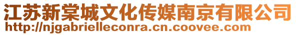 江蘇新棠城文化傳媒南京有限公司