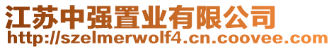 江蘇中強(qiáng)置業(yè)有限公司