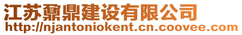 江蘇鼐鼎建設(shè)有限公司