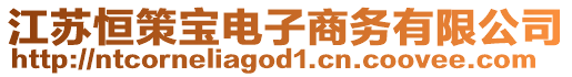 江蘇恒策寶電子商務有限公司