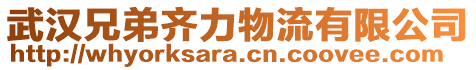 武漢兄弟齊力物流有限公司