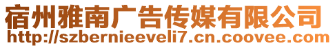 宿州雅南廣告?zhèn)髅接邢薰? style=