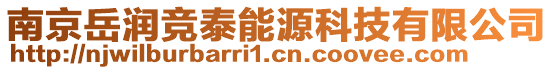 南京岳潤競泰能源科技有限公司