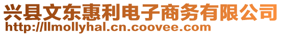 興縣文東惠利電子商務(wù)有限公司