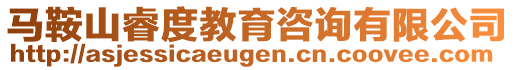 馬鞍山睿度教育咨詢有限公司