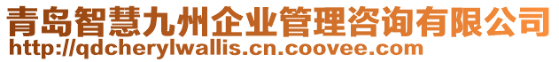 青島智慧九州企業(yè)管理咨詢有限公司