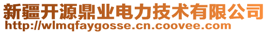 新疆開源鼎業(yè)電力技術(shù)有限公司