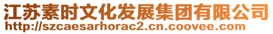 江蘇素時文化發展集團有限公司