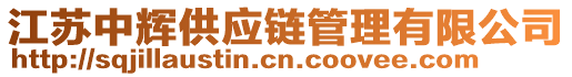 江蘇中輝供應鏈管理有限公司