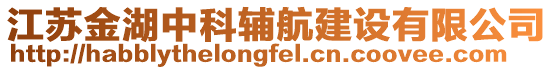 江蘇金湖中科輔航建設有限公司