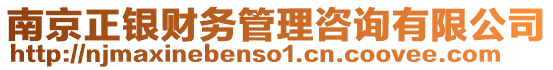 南京正銀財(cái)務(wù)管理咨詢有限公司