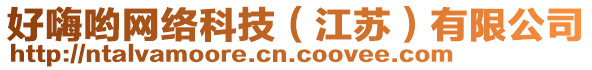 好嗨喲網(wǎng)絡(luò)科技（江蘇）有限公司