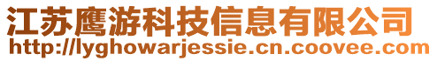 江蘇鷹游科技信息有限公司