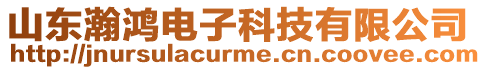 山東瀚鴻電子科技有限公司