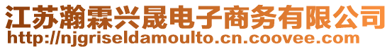 江蘇瀚霖興晟電子商務(wù)有限公司