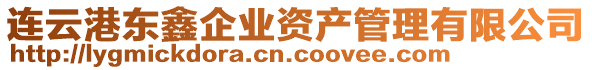 連云港東鑫企業(yè)資產管理有限公司