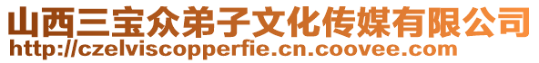 山西三寶眾弟子文化傳媒有限公司