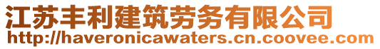 江蘇豐利建筑勞務(wù)有限公司