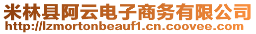 米林縣阿云電子商務(wù)有限公司