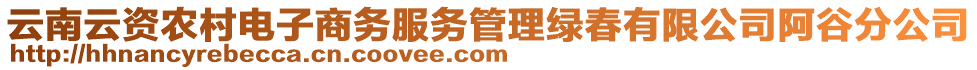 云南云資農(nóng)村電子商務(wù)服務(wù)管理綠春有限公司阿谷分公司