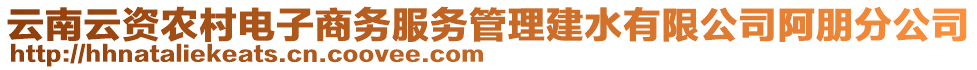 云南云資農(nóng)村電子商務(wù)服務(wù)管理建水有限公司阿朋分公司