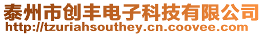 泰州市創豐電子科技有限公司