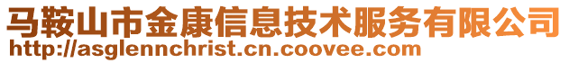 馬鞍山市金康信息技術(shù)服務(wù)有限公司