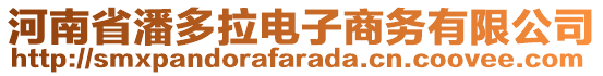 河南省潘多拉電子商務有限公司