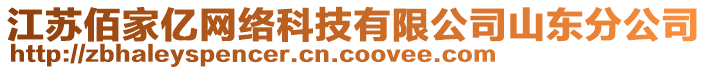 江蘇佰家億網(wǎng)絡科技有限公司山東分公司