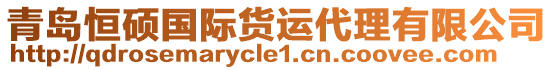 青島恒碩國際貨運代理有限公司