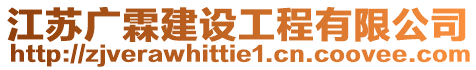 江蘇廣霖建設工程有限公司