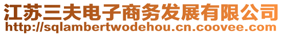 江蘇三夫電子商務(wù)發(fā)展有限公司