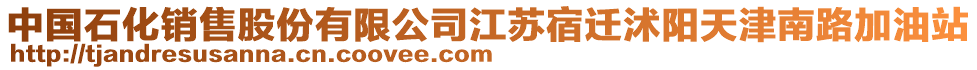 中國(guó)石化銷(xiāo)售股份有限公司江蘇宿遷沭陽(yáng)天津南路加油站