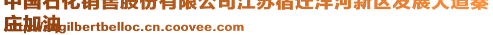 中國石化銷售股份有限公司江蘇宿遷洋河新區(qū)發(fā)展大道秦
莊加油