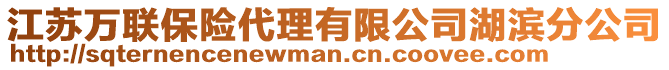 江蘇萬聯(lián)保險代理有限公司湖濱分公司