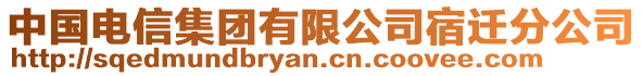 中國電信集團(tuán)有限公司宿遷分公司