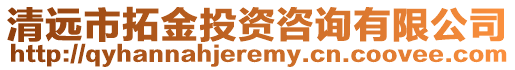 清遠市拓金投資咨詢有限公司