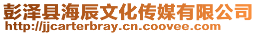 彭澤縣海辰文化傳媒有限公司