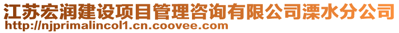 江蘇宏潤建設(shè)項(xiàng)目管理咨詢有限公司溧水分公司