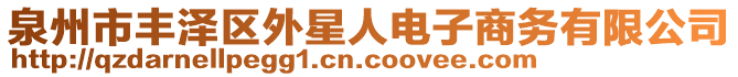 泉州市豐澤區(qū)外星人電子商務(wù)有限公司