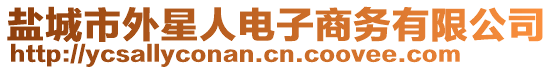 鹽城市外星人電子商務(wù)有限公司