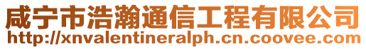 咸寧市浩瀚通信工程有限公司