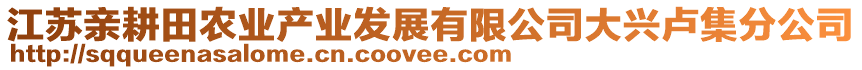 江蘇親耕田農(nóng)業(yè)產(chǎn)業(yè)發(fā)展有限公司大興盧集分公司