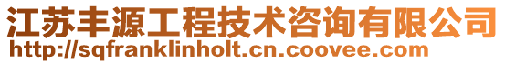 江蘇豐源工程技術咨詢有限公司