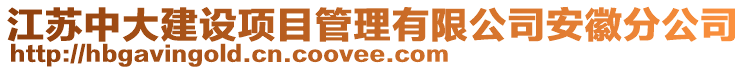 江蘇中大建設(shè)項(xiàng)目管理有限公司安徽分公司